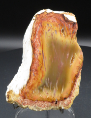 Achat / Skolezit-Achat