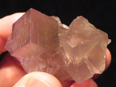 Fluorit, transparent violettrote Phantom-Würfel, Anhui-Provinz/China, 1A Qualität!